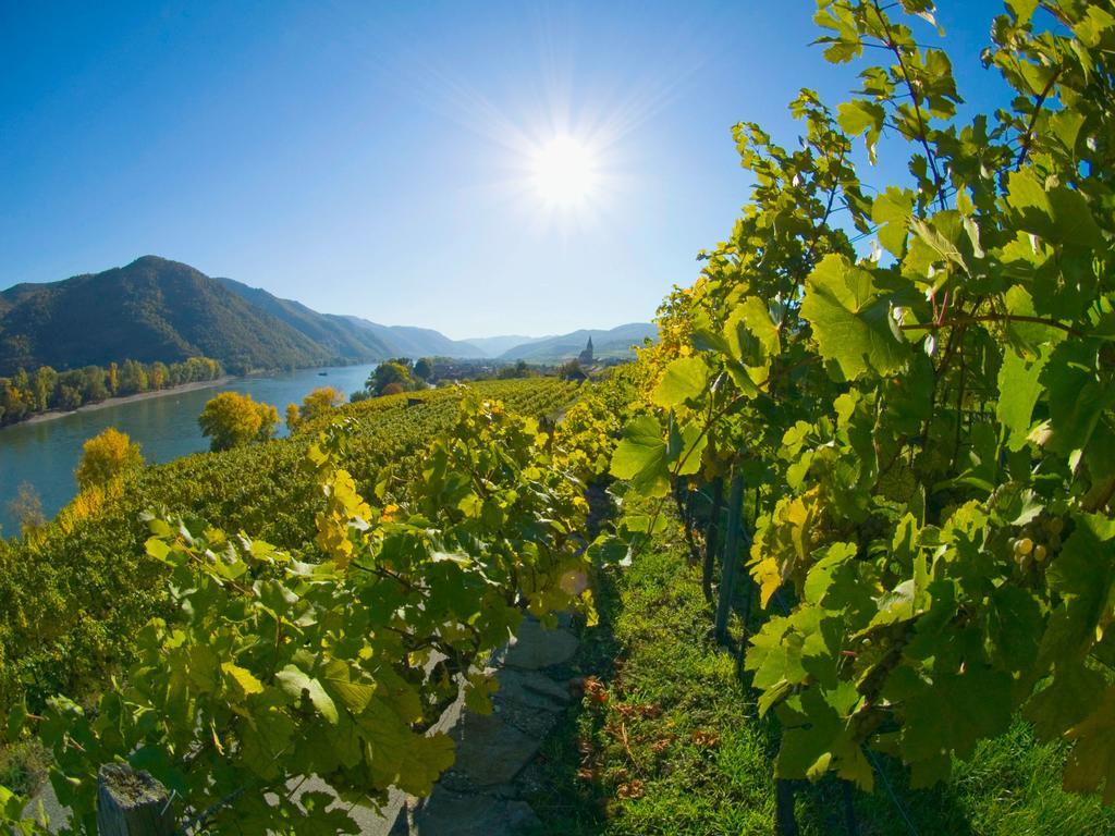 Gartenhotel & Weingut Pfeffel Dürnstein Zewnętrze zdjęcie
