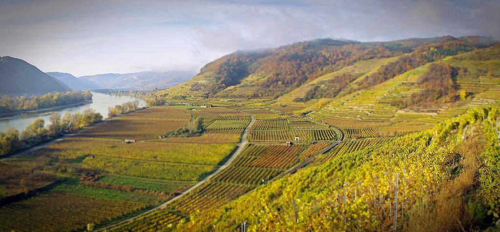 Gartenhotel & Weingut Pfeffel Dürnstein Zewnętrze zdjęcie