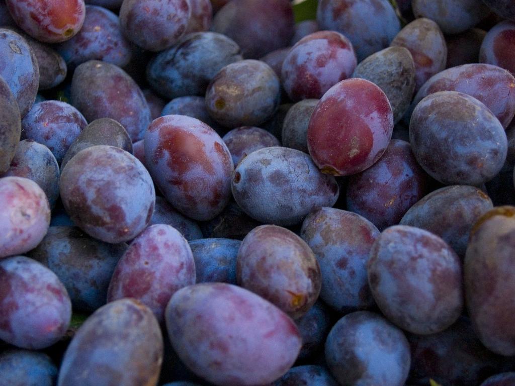 Gartenhotel & Weingut Pfeffel Dürnstein Zewnętrze zdjęcie